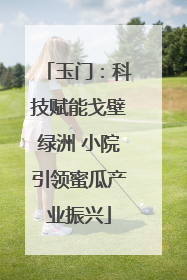 玉门：科技赋能戈壁绿洲 小院引领蜜瓜产业振兴