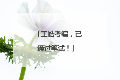 王皓考编，已通过笔试！