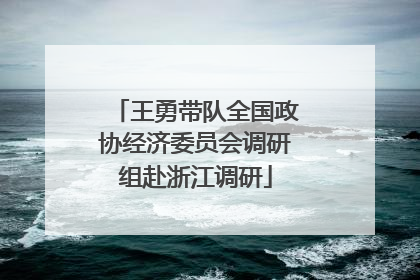 王勇带队全国政协经济委员会调研组赴浙江调研