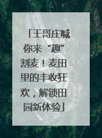 王哥庄喊你来“趣”割麦！麦田里的丰收狂欢，解锁田园新体验