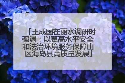 王成国在丽水调研时强调：以更高水平安全和法治环境服务保障山区海岛县高质量发展