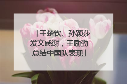 王楚钦、孙颖莎发文感谢，王励勤总结中国队表现