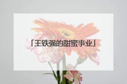 王铁强的甜蜜事业