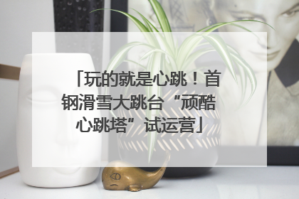 玩的就是心跳！首钢滑雪大跳台“顽酷心跳塔”试运营