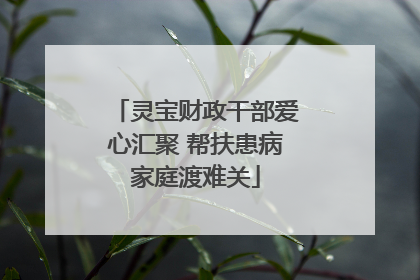 灵宝财政干部爱心汇聚 帮扶患病家庭渡难关
