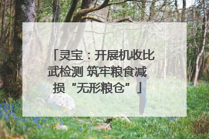 灵宝：开展机收比武检测 筑牢粮食减损“无形粮仓”