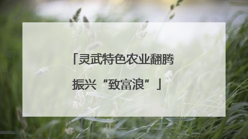 灵武特色农业翻腾振兴“致富浪”