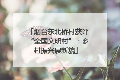 烟台东北桥村获评“全国文明村”：乡村振兴展新貌