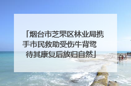 烟台市芝罘区林业局携手市民救助受伤牛背鹭 待其康复后放归自然