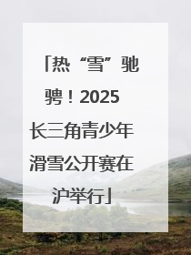 热“雪”驰骋！2025长三角青少年滑雪公开赛在沪举行