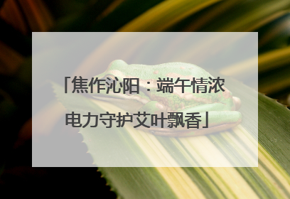 焦作沁阳：端午情浓 电力守护艾叶飘香