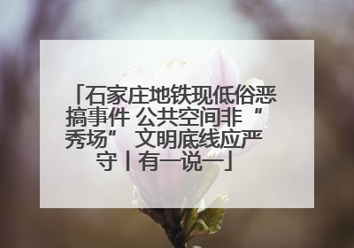 石家庄地铁现低俗恶搞事件 公共空间非“秀场” 文明底线应严守丨有一说一