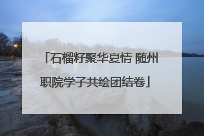 石榴籽聚华夏情 随州职院学子共绘团结卷