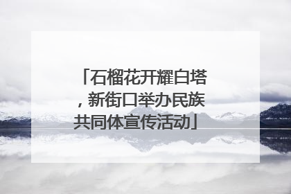 石榴花开耀白塔，新街口举办民族共同体宣传活动