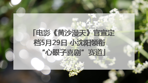 电影《黄沙漫天》官宣定档5月29日 小沈阳领衔“心眼子喜剧”赛道