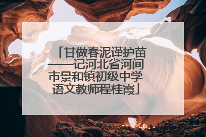 甘做春泥谨护苗——记河北省河间市景和镇初级中学语文教师程桂霞