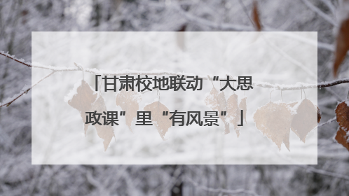 甘肃校地联动“大思政课”里“有风景”