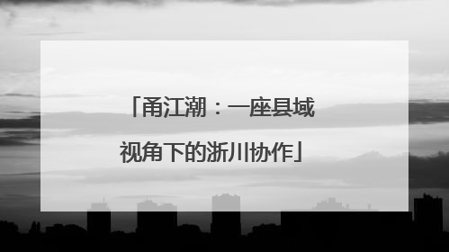 甬江潮：一座县域视角下的浙川协作