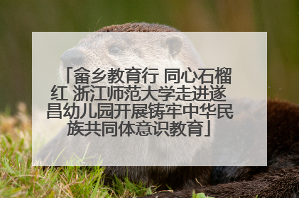 畲乡教育行 同心石榴红 浙江师范大学走进遂昌幼儿园开展铸牢中华民族共同体意识教育