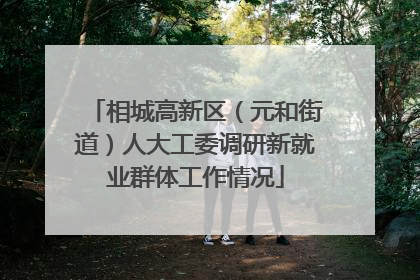 相城高新区（元和街道）人大工委调研新就业群体工作情况