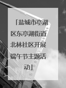 盐城市亭湖区东亭湖街道北林社区开展端午节主题活动