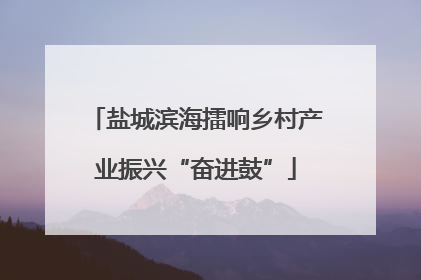 盐城滨海擂响乡村产业振兴“奋进鼓”