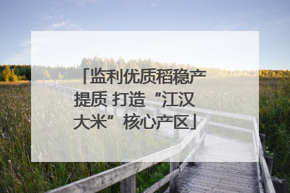 监利优质稻稳产提质 打造“江汉大米”核心产区