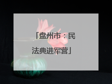 盘州市：民法典进军营