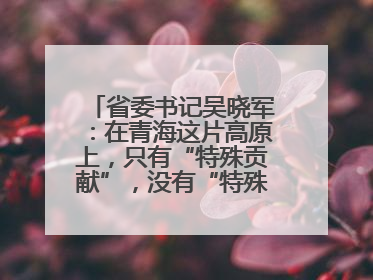 省委书记吴晓军：在青海这片高原上，只有“特殊贡献”，没有“特殊待遇”