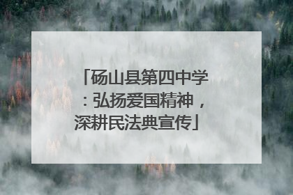 砀山县第四中学：弘扬爱国精神，深耕民法典宣传