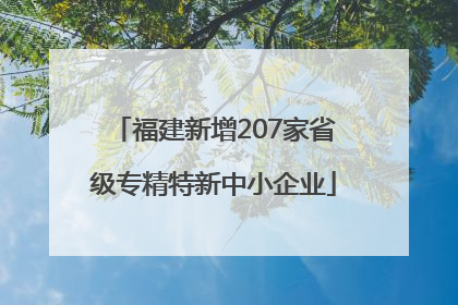 福建新增207家省级专精特新中小企业