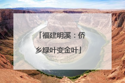 福建明溪：侨乡绿叶变金叶