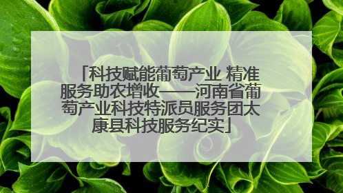 科技赋能葡萄产业 精准服务助农增收——河南省葡萄产业科技特派员服务团太康县科技服务纪实
