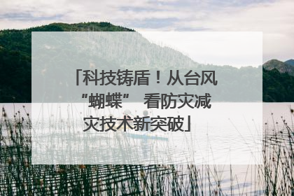 科技铸盾！从台风“蝴蝶” 看防灾减灾技术新突破
