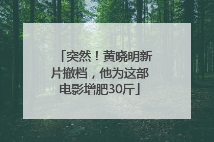 突然！黄晓明新片撤档，他为这部电影增肥30斤