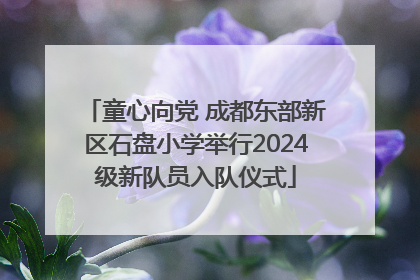 童心向党 成都东部新区石盘小学举行2024级新队员入队仪式