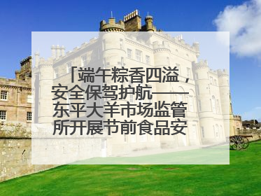 端午粽香四溢，安全保驾护航——东平大羊市场监管所开展节前食品安全专项检查