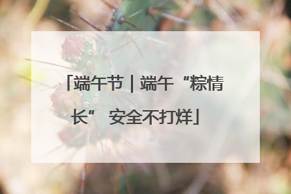 端午节｜端午“粽情长” 安全不打烊