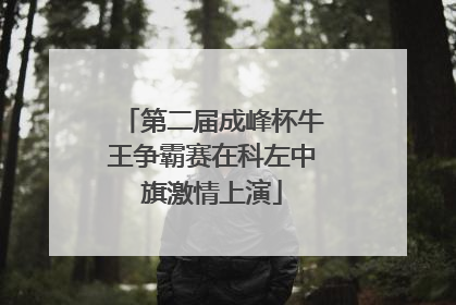 第二届成峰杯牛王争霸赛在科左中旗激情上演