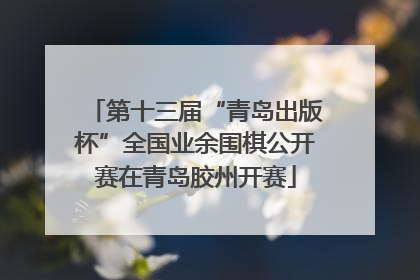 第十三届“青岛出版杯”全国业余围棋公开赛在青岛胶州开赛