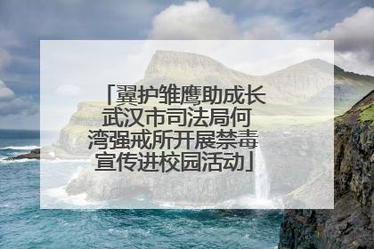 翼护雏鹰助成长 武汉市司法局何湾强戒所开展禁毒宣传进校园活动