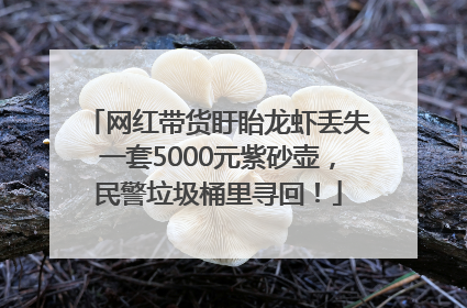 网红带货盱眙龙虾丢失一套5000元紫砂壶，民警垃圾桶里寻回！