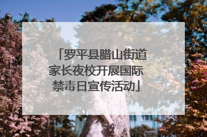 罗平县腊山街道家长夜校开展国际禁毒日宣传活动