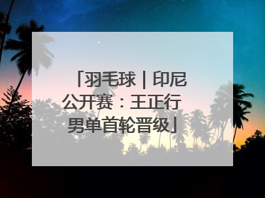 羽毛球｜印尼公开赛：王正行男单首轮晋级