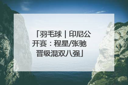 羽毛球｜印尼公开赛：程星/张驰晋级混双八强