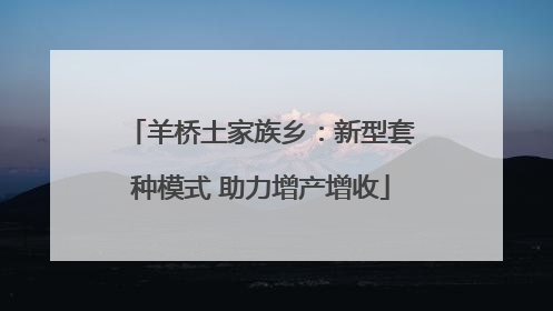 羊桥土家族乡：新型套种模式 助力增产增收