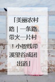 美丽农村路｜一条路带火一片村！小贺线带溪望谷成团出道