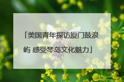 美国青年探访厦门鼓浪屿 感受琴岛文化魅力