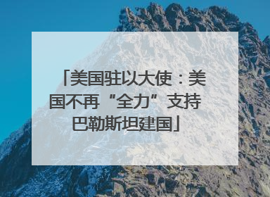 美国驻以大使：美国不再“全力”支持巴勒斯坦建国