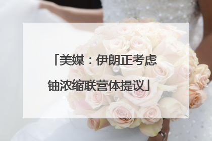 美媒：伊朗正考虑铀浓缩联营体提议
